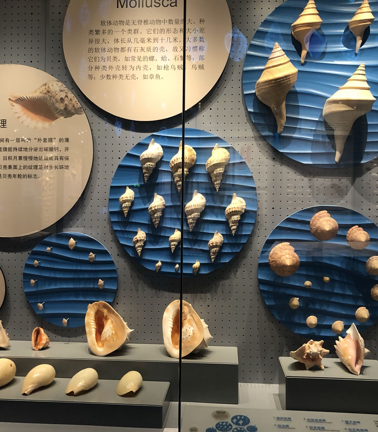 国内值得一去的博物馆，天津国家海洋博物馆