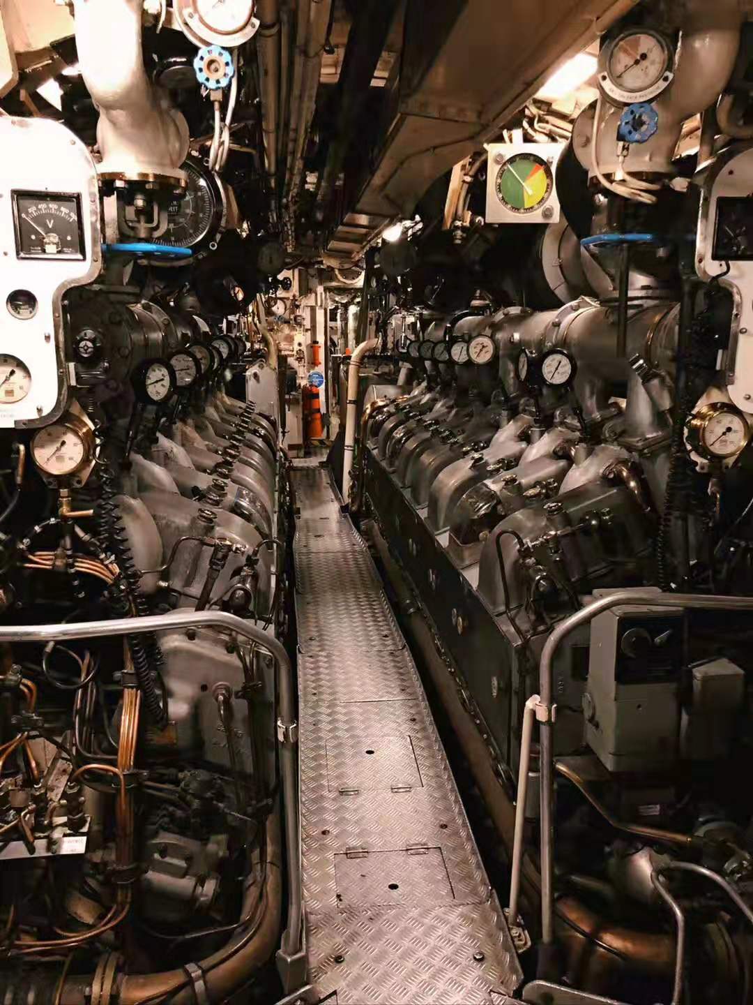 悉尼海洋博物馆：探寻海洋世界的魅力之旅