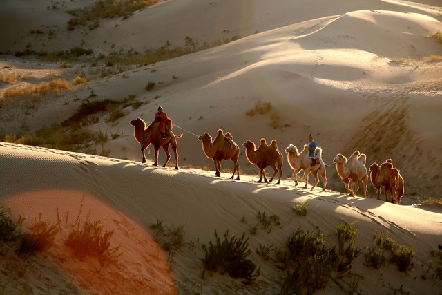 当博物馆设计施工遇上黑科技：沉浸式体验如何重塑文化叙事？