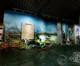 动物博物馆设计要自然化，动物标本是如何制作的？